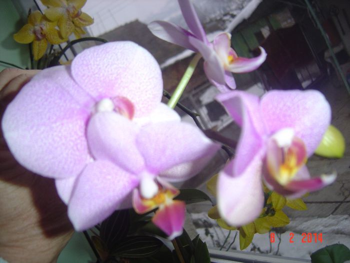 Picture 200