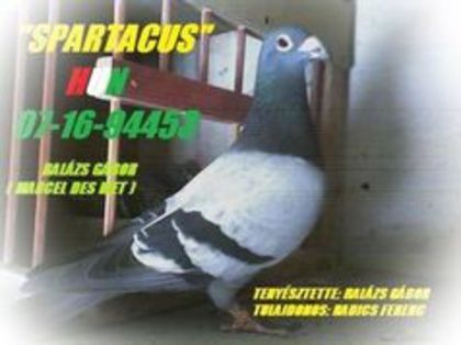 95417893_ZNIEMNQ3