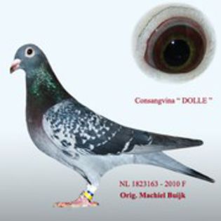 65535057_NIXZXTP3