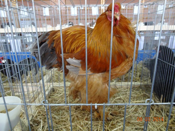 DSC05359