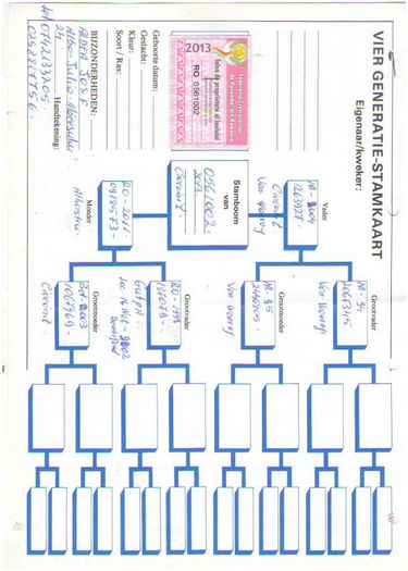 26-finala-480km-6-hs3-220-km-19-as-aldea-bovens-ro13-561002-f-ss13-01-07-1 - PEDIGREE