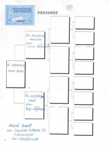 57-finala-500km-fratii-blass-ro-13-1399041-f-bfp13- - PEDIGREE