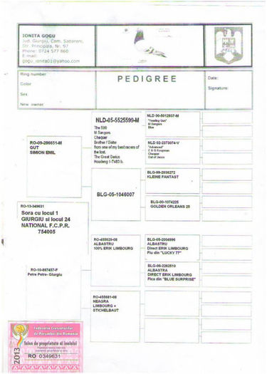 60-finala-480-km-gogu-ionita-ro13-349631 - PEDIGREE