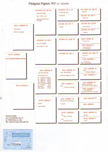 22-finala-480km-chilian-daniel-ro13-1252404-f-ss-03-03-13 - PEDIGREE