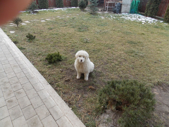 DSCN0939