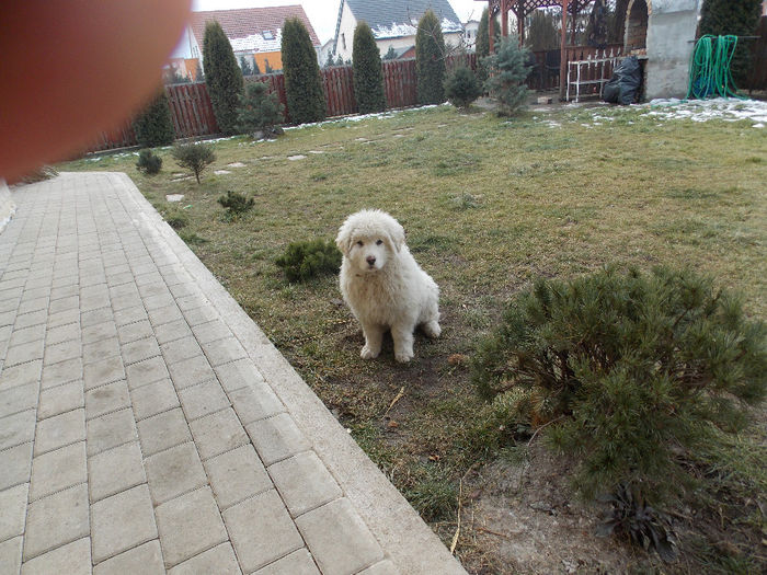 DSCN0942