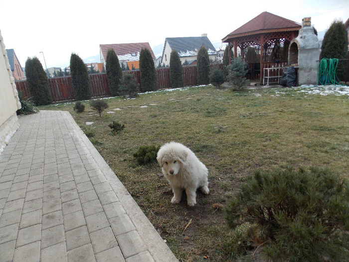 DSCN0943
