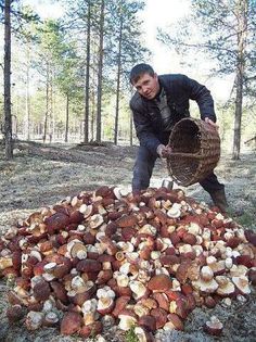 1621905_1403931539860683_625221682_n