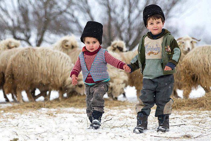 1779320_675902499141252_1167731574_n