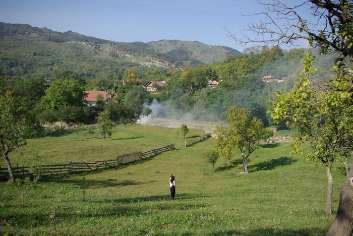 1782556_1403843793202791_544062083_o