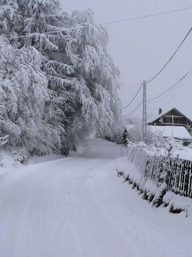 1796662_675280695870099_1665953271_n