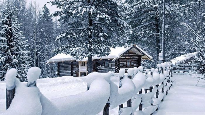 1888451_1403932776527226_1753979760_n