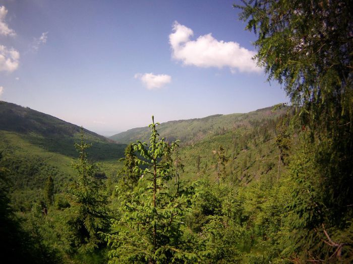 1891319_1403857649868072_600399756_o