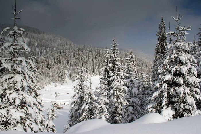 1907528_1403933929860444_409116243_n