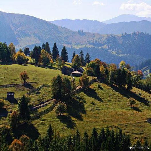 mari-bucovina-4