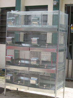 baterii cuşti 23 - MODELE DE CUSTI