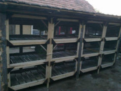 baterii cuşti 24 - MODELE DE CUSTI