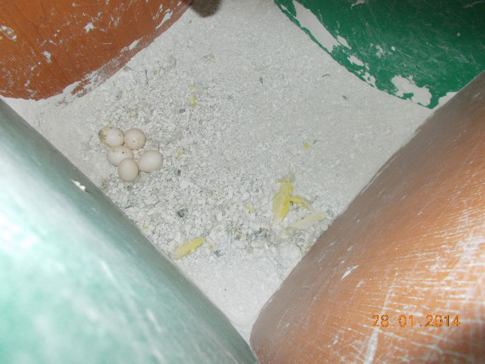 DSCN1433[1]; au 5 oua !!!
