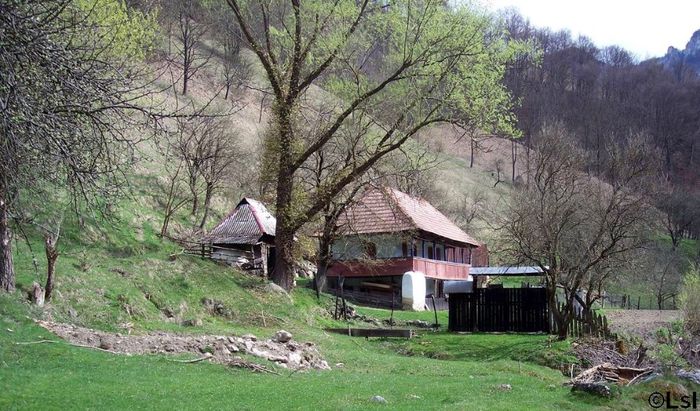 3 - Satul Romanesc