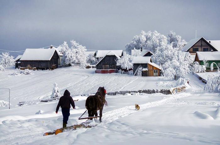 1660588_677227549008747_1830178050_n