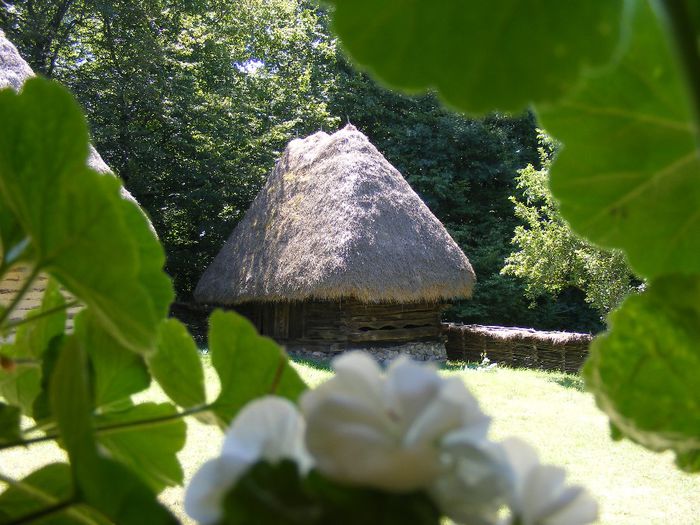 apropiere-muzeul-satului-sibiu