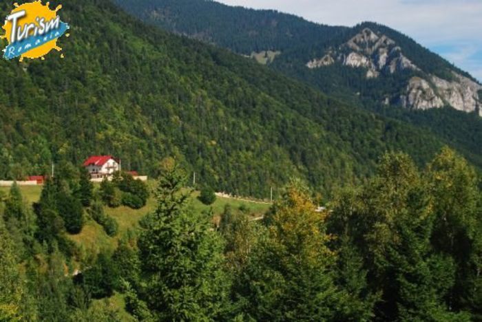 b_brasov_sat_magura_vila_mosorel_pensiunea_mosorel_din_sat_magura_peisaj_17008