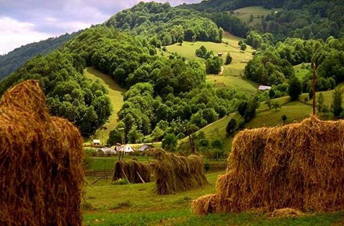 maramures 1