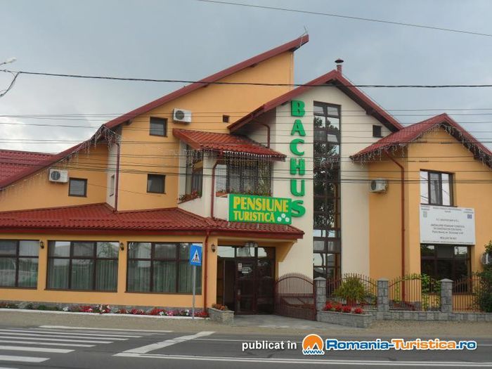 PIATRA NEAMT PENSIUNEA BACHUS