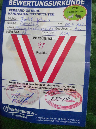 FISA ARBITRAJ - ACHIZITII CAMPION EUROPEAN BERBEC PITIC ZARBL JOHANN 08-02-2014