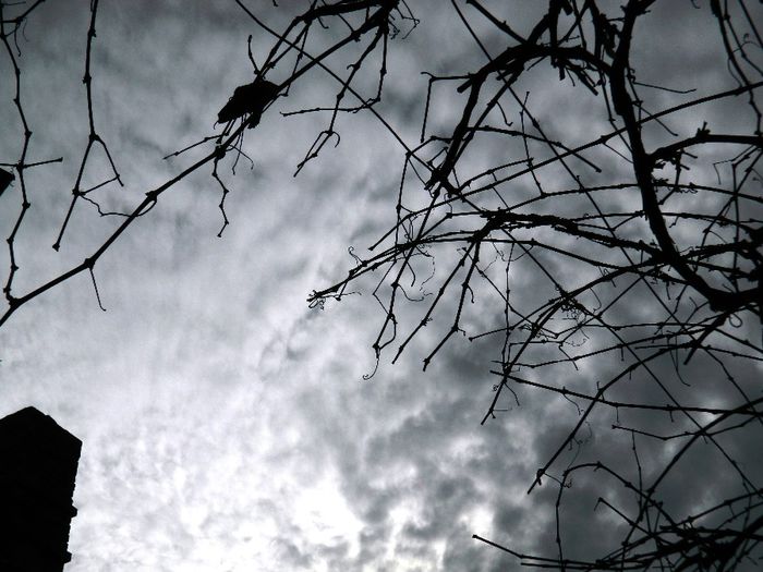 DSCN1857 - FEBRUARIE 2014