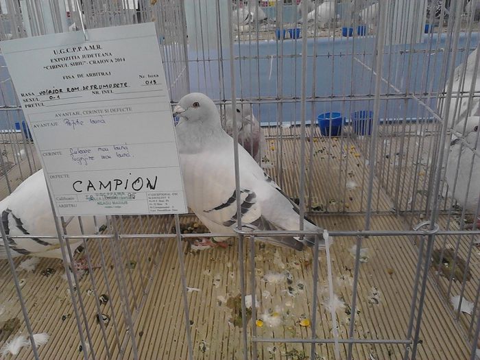 IMG_20140209_095753_0