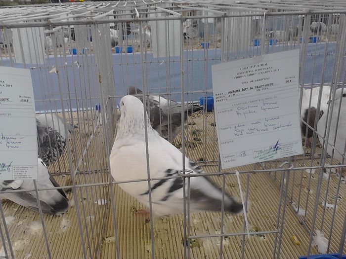 IMG_20140209_095815_0