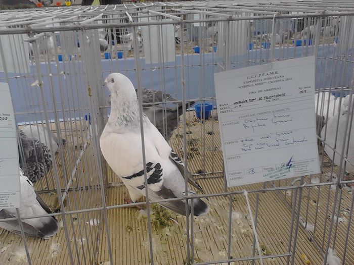 IMG_20140209_095818_0