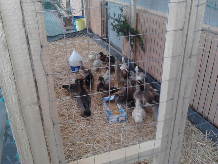 IMG_20140209_095905_0