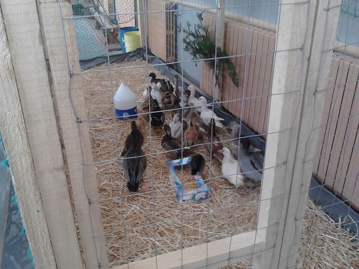 IMG_20140209_095909_0