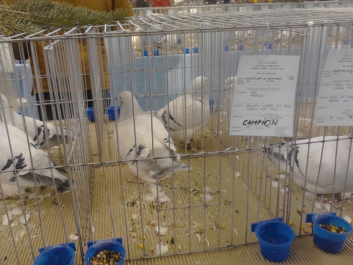 IMG_20140209_095944_0