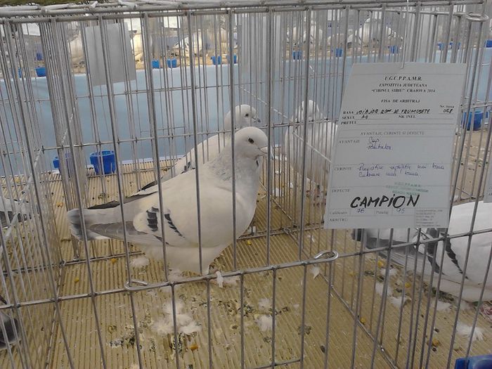 IMG_20140209_095954_0