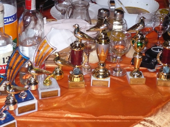 Fabian Adrian si cupele