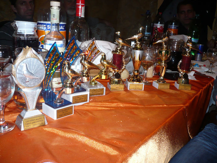 Fabian Adrian si cupele