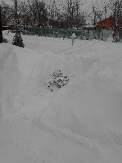 IMG_20140129_165340