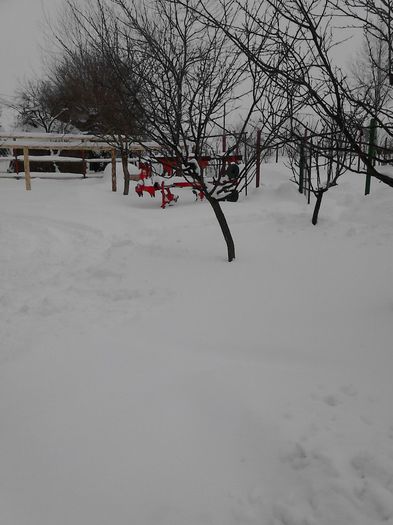 IMG_20140130_124218 - Iarna lui 2014