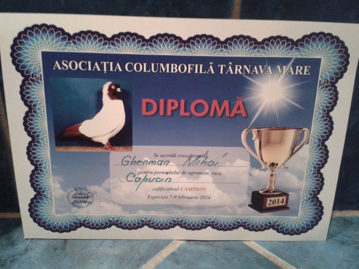 20140209_224350 - cupe si diplome