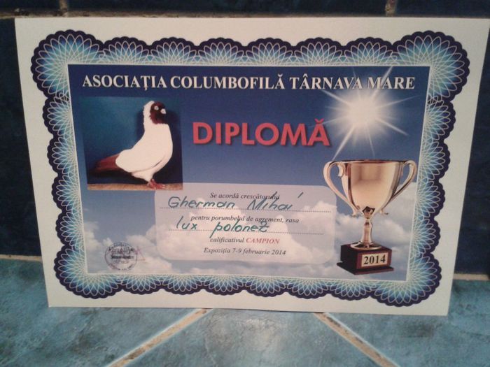 20140209_224359 - cupe si diplome
