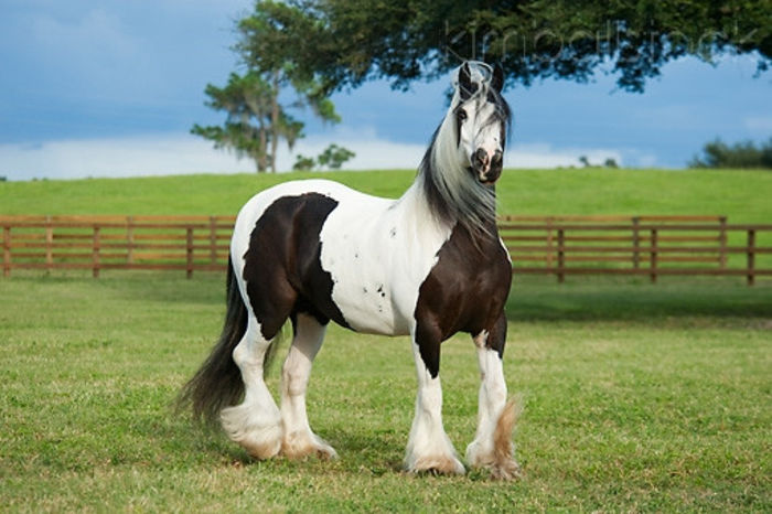 KimballStock_HOR-01-MB0074-01