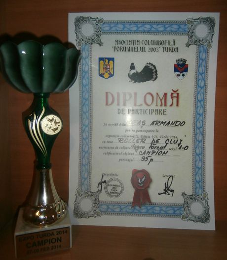 Campion Turda 2014 Roller de Cluj Negru Tarcat