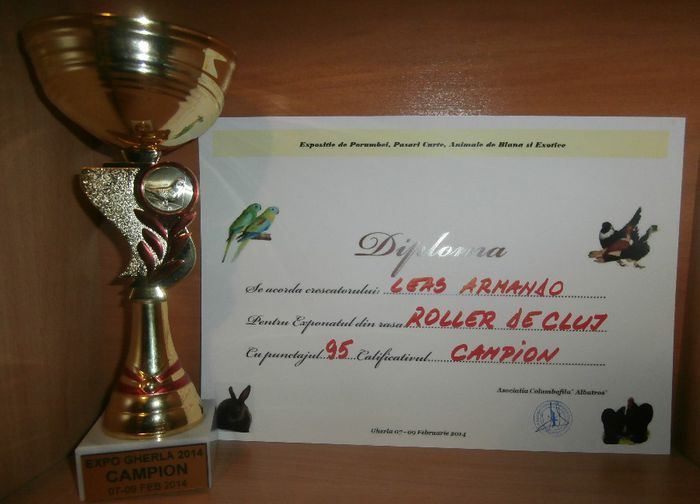 Campion Gherla 2014 Roller de Cluj Negru Tarcat