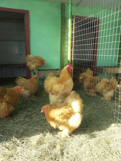 MjAxNDAyMDlfMTEwMDA5LmpwZw==