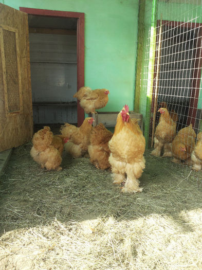 MjAxNDAyMDlfMTEwMDIyLmpwZw==