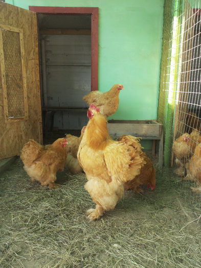 MjAxNDAyMDlfMTEwMDMwLmpwZw==