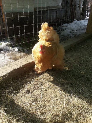 MjAxNDAyMDlfMTEwMDU2LmpwZw==